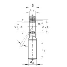 桿端軸承 GAR35-DO-2RS, 根據(jù) DIN ISO 12 240-4 標(biāo)準(zhǔn)，帶右旋外螺紋，需維護(hù)，兩側(cè)唇密封