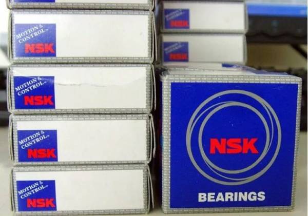 NSK  NJ2204+HJ2204